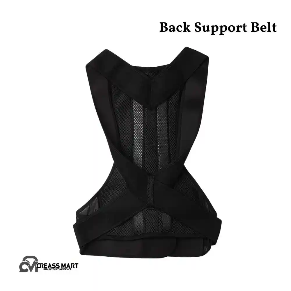 Back Support Belt
