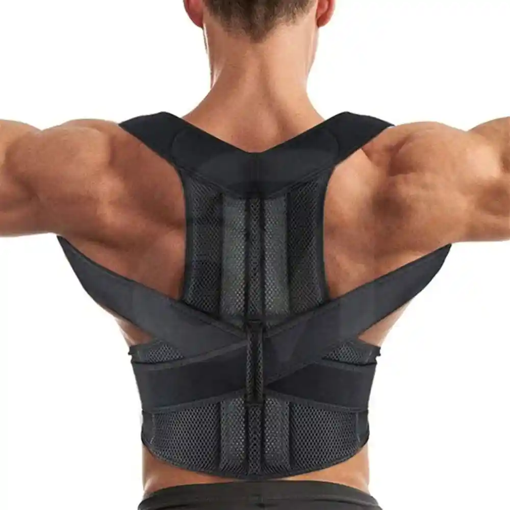 Back Support Belt