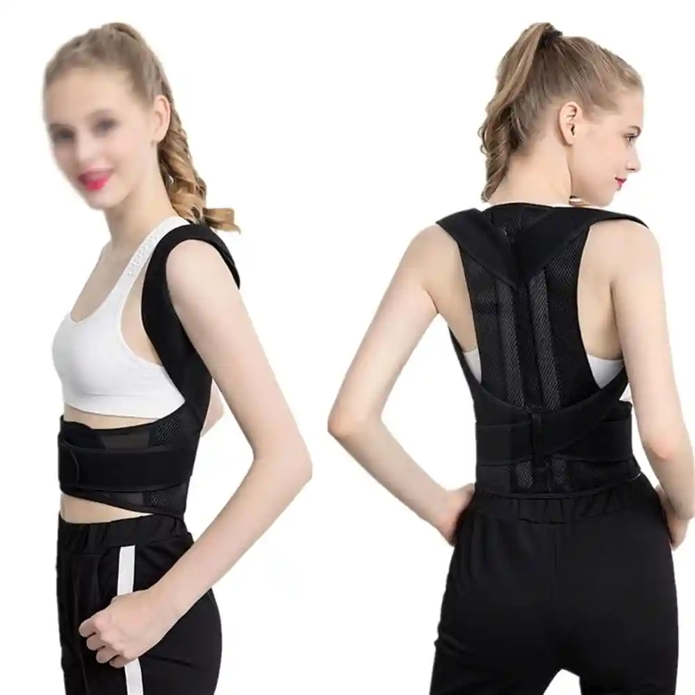 Back Support Belt