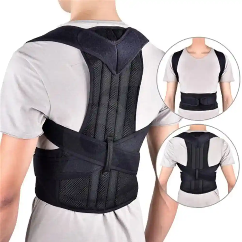Back Support Belt
