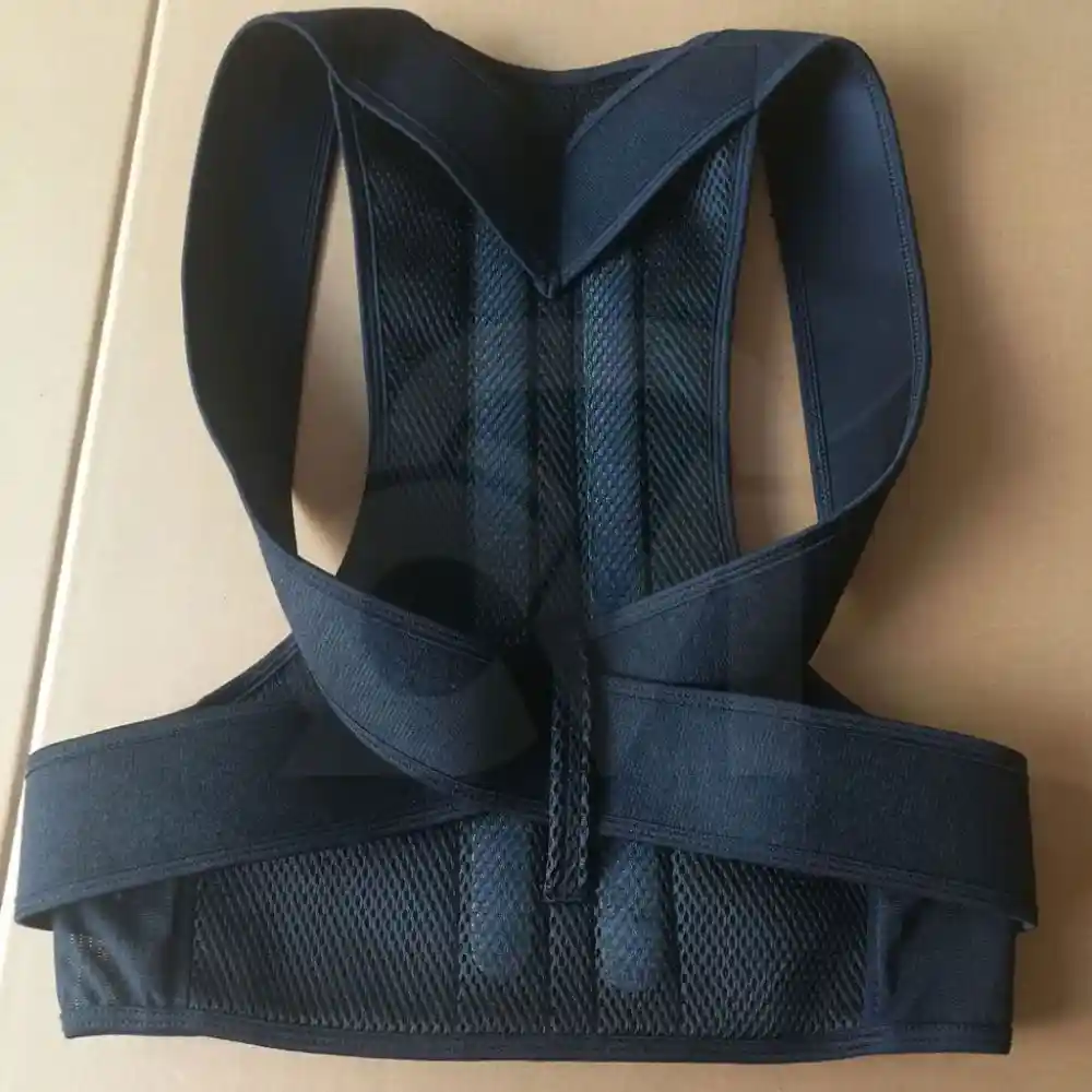 Back Support Belt