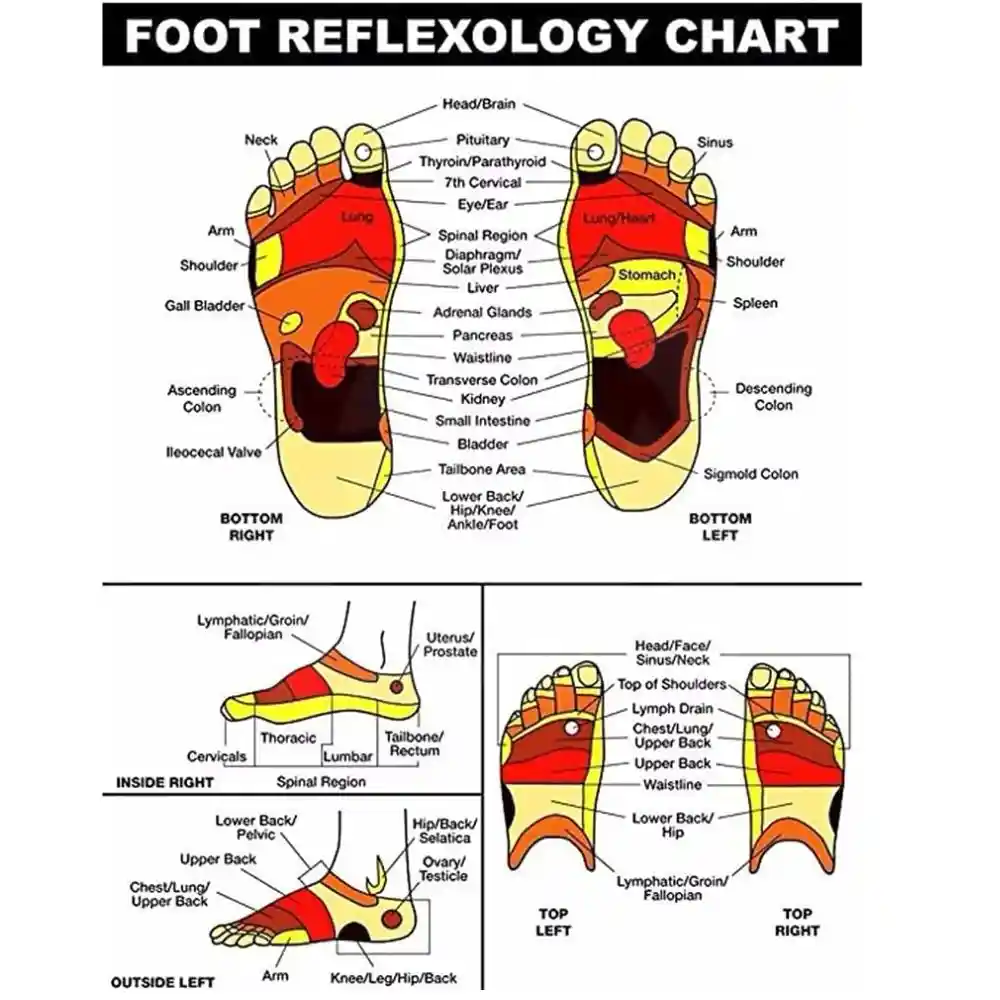 Wooden -Acupressure- Foot Roller -Foot- Massage -Bar