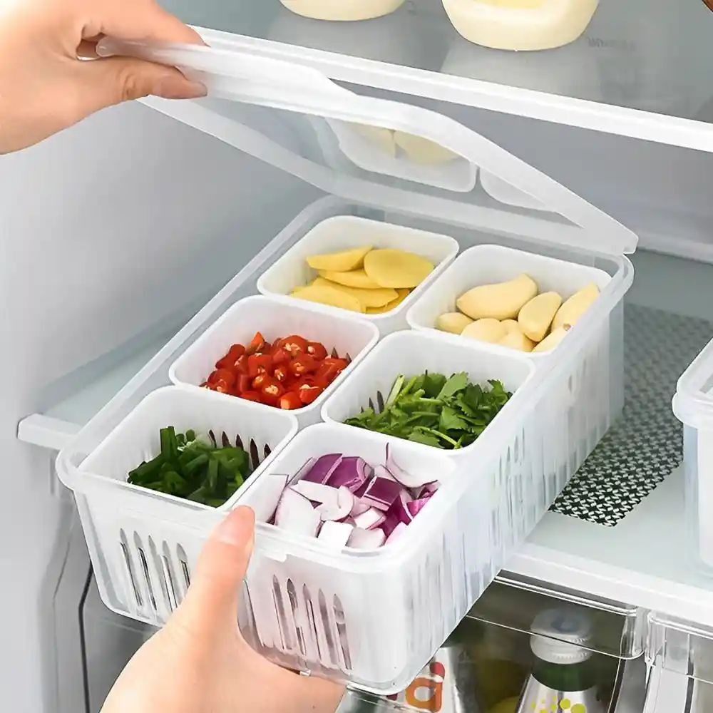 6 Grid Fridge Storage Box Price In Bangladesh