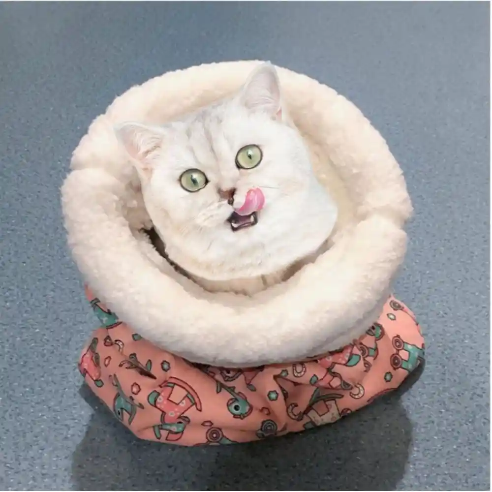 Multicolor Cat Sleeping Bag