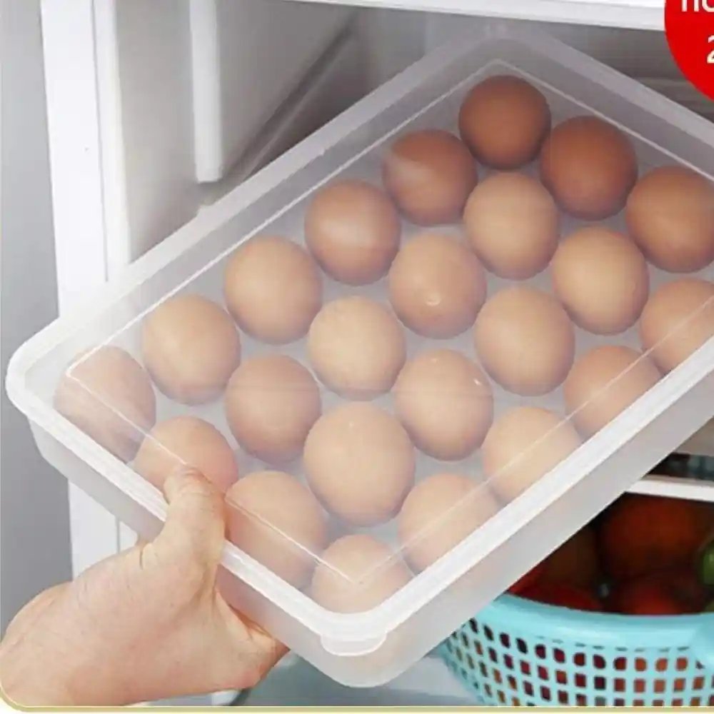 34 Hole Plastic Egg Tray price in bangladeshu200b